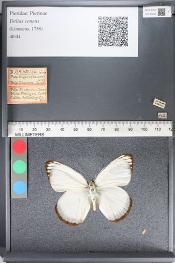 Media type: image;   Entomology 130430
